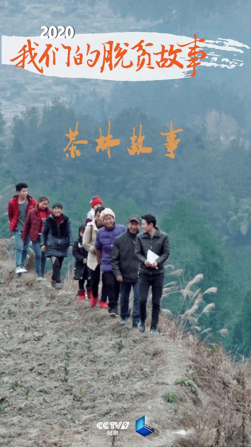 他的茶叶种植之路并非坦途好在脱贫路上不孤独