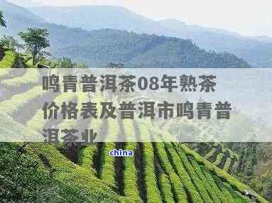 勐库鸣青普洱茶厂 从茶园到杯中的匠心传承